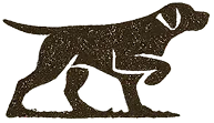 content-image