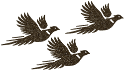 content-image