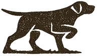 content-image